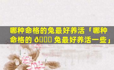 哪种命格的兔最好养活「哪种命格的 🐈 兔最好养活一些」